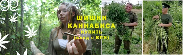 мет Вяземский