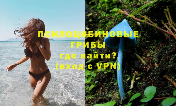 крисы Верхний Тагил