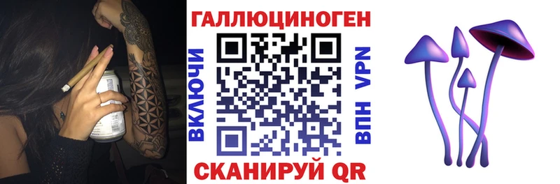 где купить   Видное  Галлюциногенные грибы Magic Shrooms 