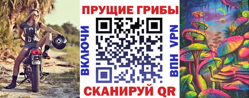 Псилоцибиновые грибы Psilocybine cubensis Видное